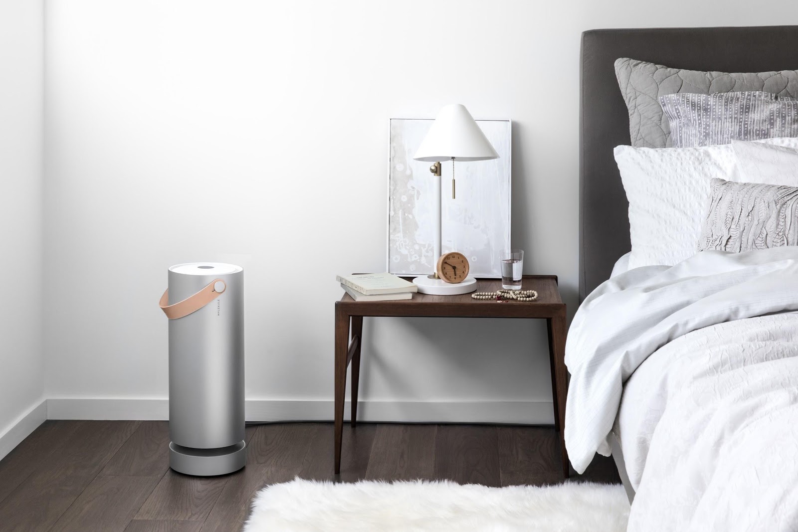 Molekule Review